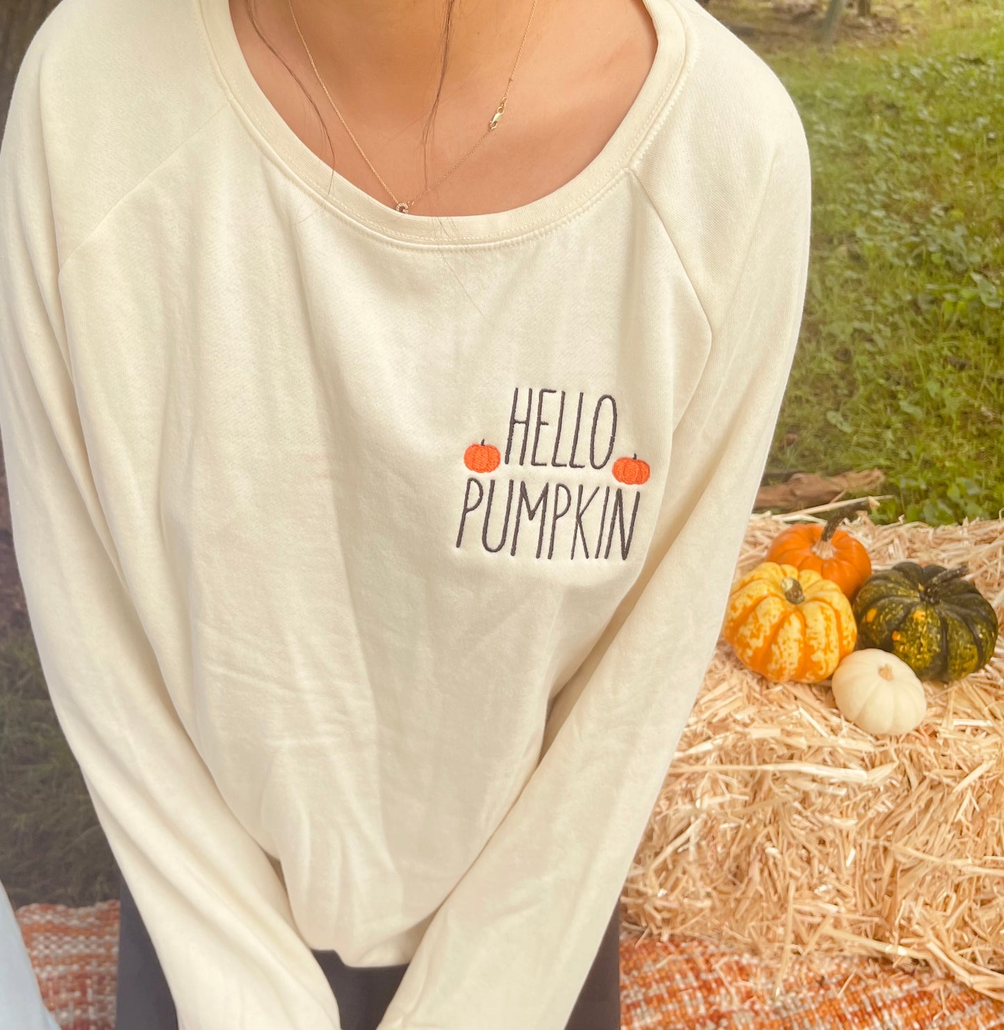 Hello Pumpkin Embroidered Sweatshirt