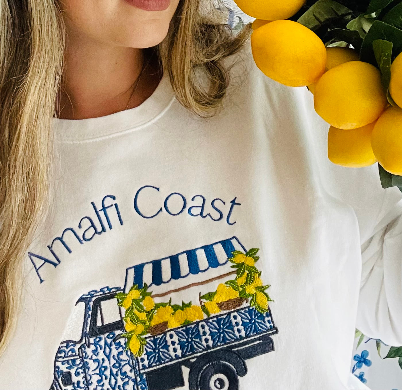 Amalfi Coast Embroidered Sweatshirt