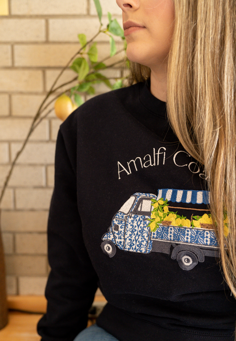 Amalfi Coast Embroidered Sweatshirt