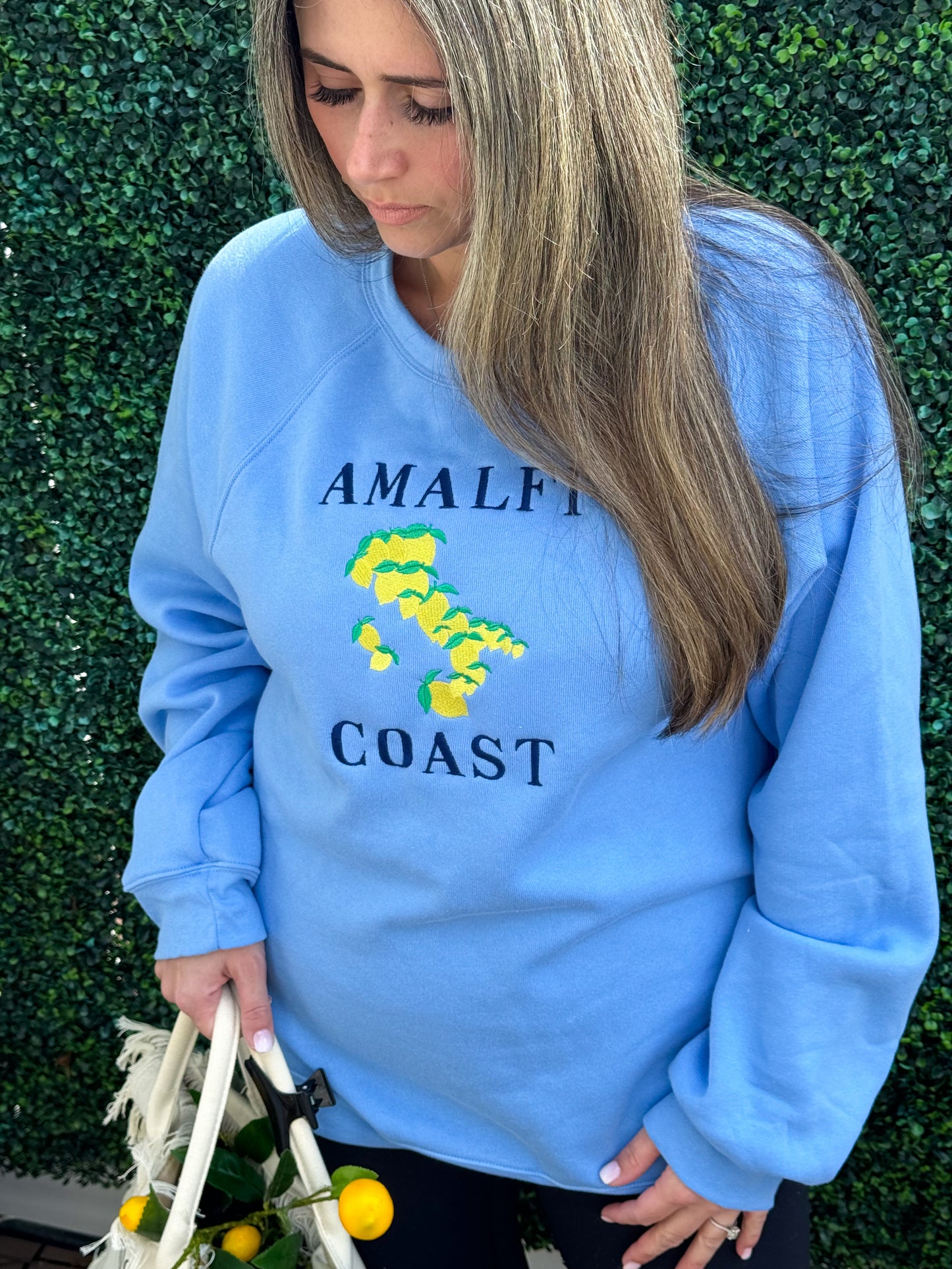 Amalfi Coast Embroidered Sweatshirt BLUE(SALE)